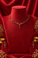 AD Necklace set SK209
