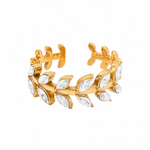Dina ring